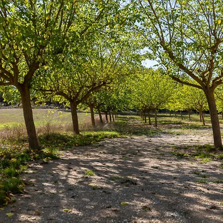 Bed & Breakfast Masia Aubareda