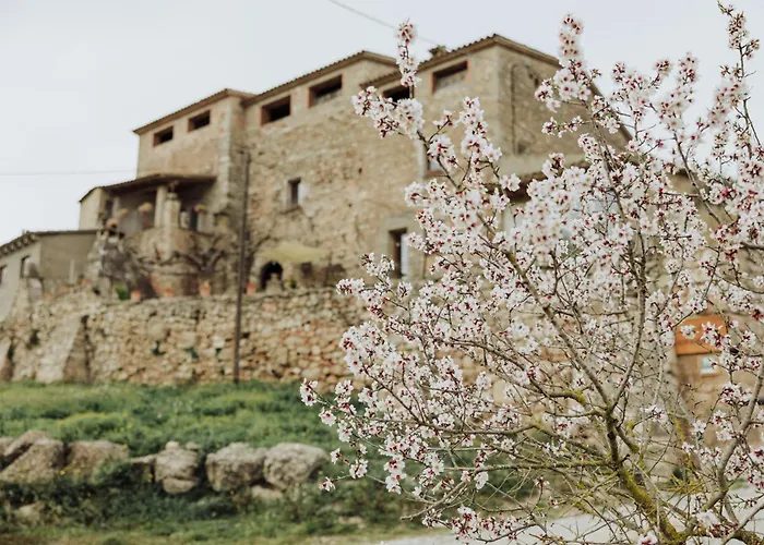 B&B Masia Aubareda
